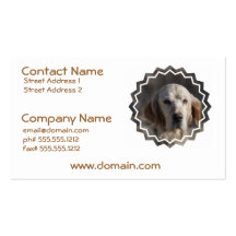 Cute English Setter Business Card