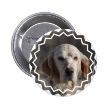 Cute English Setter Button
