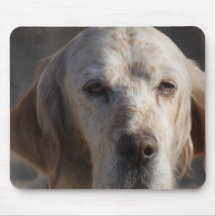 Cute English Setter Mouse Pad