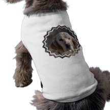 Cute English Setter Pet Shirt
