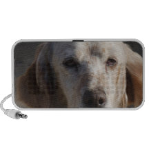 Cute English Setter Portable Speakers
