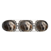 Cute English Setter Skateboard