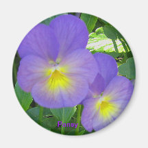 Cute Faced Pansy Magnet