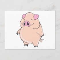 cute fat pig