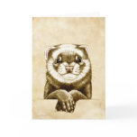 Cute Ferret cards