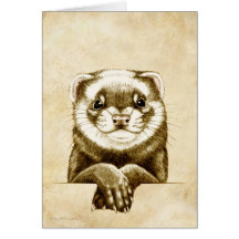 Cute Ferret Card