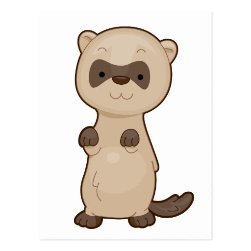 Cute Ferret Post Cards