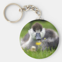 Cute fluffy paradise duckling key chains