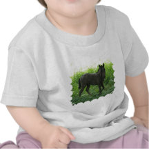 Cute Foal Baby T-Shirt