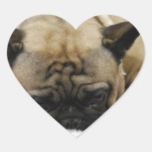 Cute French Bulldog Stickers