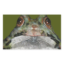 Cute Frog, Close Up: Art: Colour Pencil