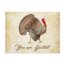 Cute Full Colour Turkey