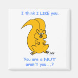Cute Funny Squirrel Fridge Magnet