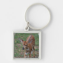 Cute Gazelle Keychain