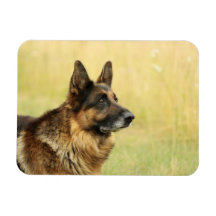 Cute German Shepherd Flexible Magnet