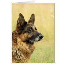 Cute German Shepherd  Greeting Cards