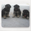 Cute German Shepherd Puppy Mouse Pad mousepads