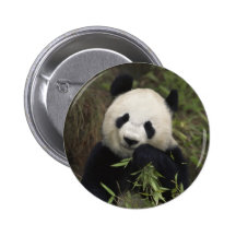 Cute Giant Panda Button