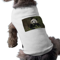 Cute Giant Panda Dog Tshirt