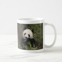 Cute Giant Panda Mugs