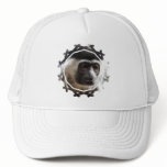 Cute Gibbon Baseball Hat