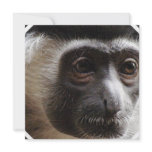 Cute Gibbon Invitations