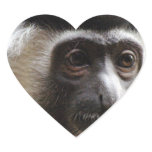 Cute Gibbon Stickers
