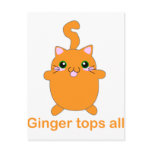cute ginger cat postcards