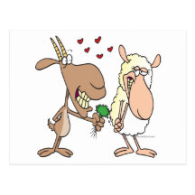 cute goat sheep love cartoon post card