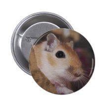 Cute Golden Pet Gerbil Buttons