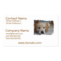 Cute Golden Pup Business Cards