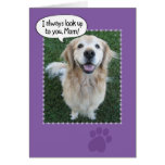 Cute Golden Retriever Mother's Day Card