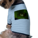 Cute Green Candid Frog Hiding In The Leaves pet clothing