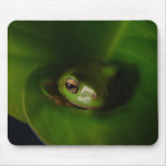 Cute Green Candid Frog Hiding In The Leaves mousepads