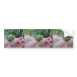 Cute Green Candid Frog On The Hand bumper stickers