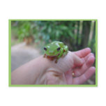 Cute Green Candid Frog On The Hand postcards