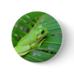 Cute Green Candid Frog On The Leaf Of Palm buttons