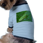 Cute Green Candid Frog On The Leaf Of Palm pet clothing