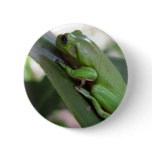 Cute Green Candid Frog On The Leave buttons