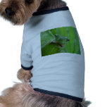 Cute Green Candid Frog On The Leave pet clothing