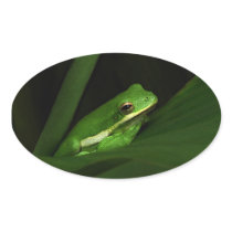 Cute Green Tree Frog Stickers
