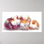 Cute Guinea Pigs Poster