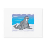 cute happy walrus post card