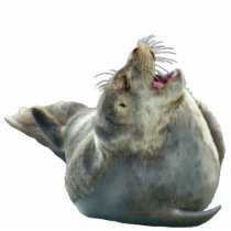 Cute Harbour Seal Wildlife Sculpted Gift