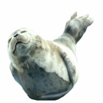 Cute Harbour Seal Wildlife Sculpted Gift