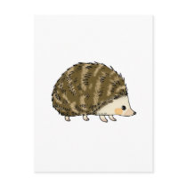 Cute hedgehog