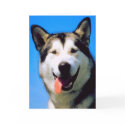 Cute husky dog photo customisable greeting card