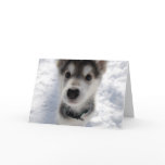 Cute husky puppy photo customisable greeting card