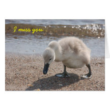 Cute "I miss you" Card