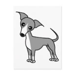 Cute Italian Greyhound - Grey postcards